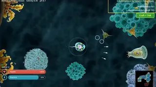 Salty: Evolution Simulator