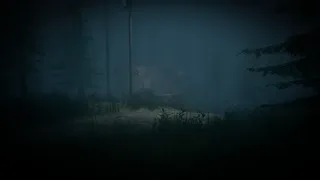 Alice is Missing