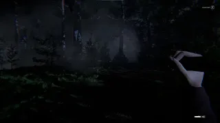 Still Rain: The Arrival