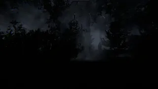 Still Rain: The Arrival