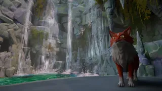 Warrior Cats: Clans of the Forest