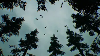 Rain of Hunger