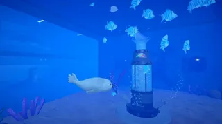 Seal Way
