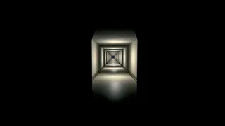 Observation Protocol: The Observed