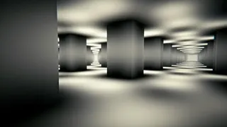 Observation Protocol: The Observed