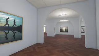 Infinite Galleries