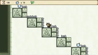 猫咪狂想曲
