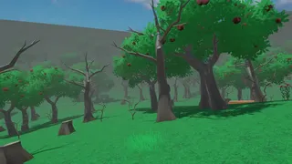An Unknown Land