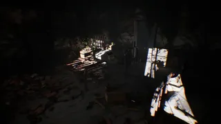 Скриншот 5 к игре Blackwood Abattoir