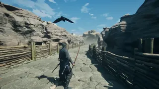 Fallen Hunter Ashen Crown