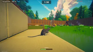 Rat Hunt