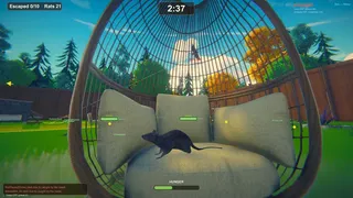 Rat Hunt