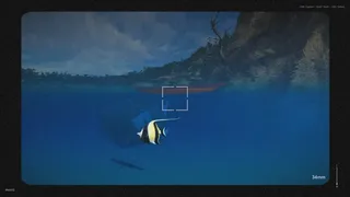 Kayak Photography Sim