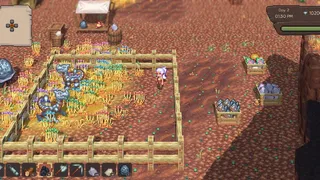 Dragon Country