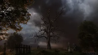 The Dead Must Rest
