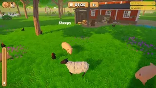 Hide and Moo!