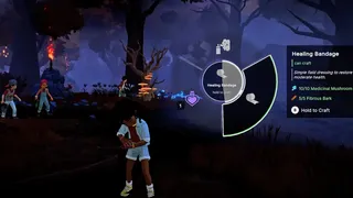 Voidwood
