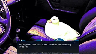 A Road Trip With a Duck