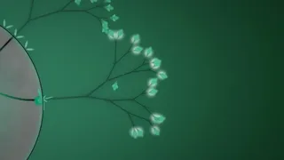 Eufloria 2