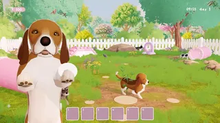 Mimi's Pet Rescue