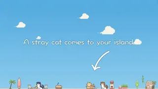 流浪猫岛