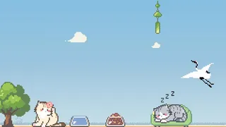 流浪猫岛