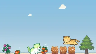 流浪猫岛