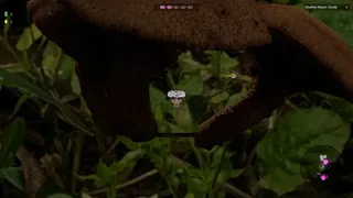 Shroomocracy! And The Wand Of Ages