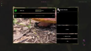 Shroomocracy! And The Wand Of Ages