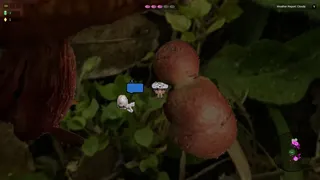 Shroomocracy! And The Wand Of Ages