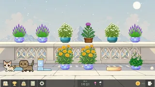 Bloom Cats