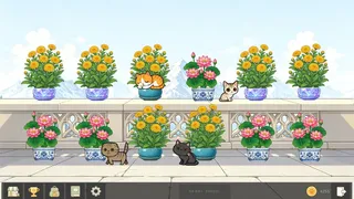 Bloom Cats