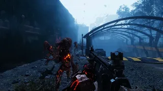 Waste The Fallen
