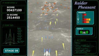 Скриншот 8 к игре Raider Pheasant