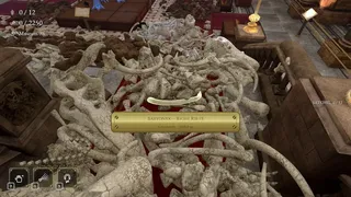 DinoBones: Tidy Up the Museum