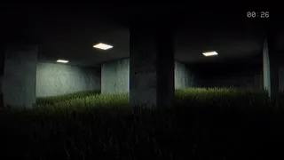 Backrooms Insane