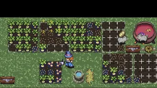 Mana Roots
