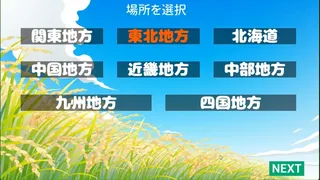 JapaneseDialect