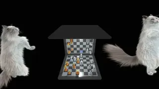 Barrel Chess