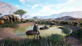 Africa Survival