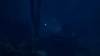 Slender Signal Loss