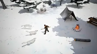 Frozen Echo