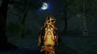 I Hear the Forest
