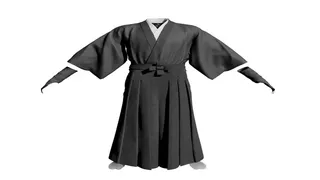 The Ronin: Samurai Gunslinger