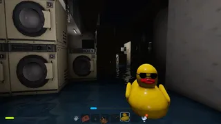 Trainrot