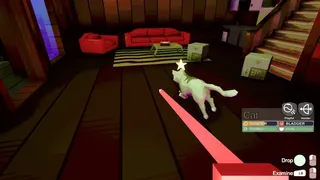 Totally Normal Cat Shelter