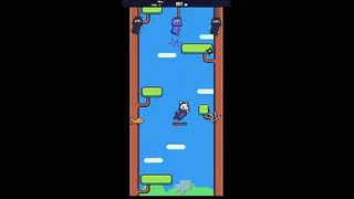 Ninja Cat