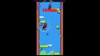 Ninja Cat