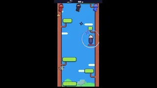 Ninja Cat