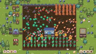 Sprout's Meadow